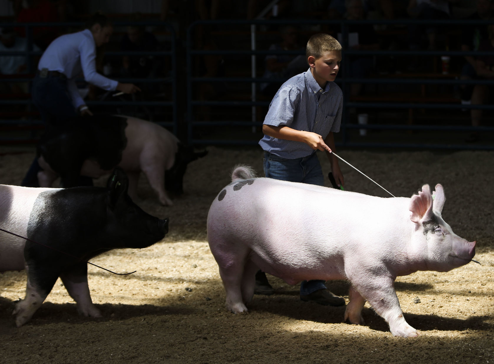080921-qc-nws-fair-16.JPG